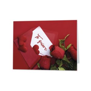 EXPOSITOR 25 TARJETAS MINI CARD SOBRE TE QUIERO 66X90MM