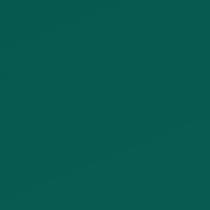 LAMINA GOMA EVA 20X30 VERDE OSCURO