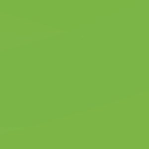 LAMINA GOMA EVA 20X30 VERDE CLARO