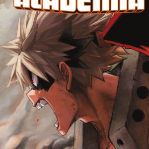 MY HERO ACADEMIA 7