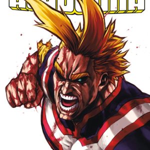 MY HERO ACADEMIA 11