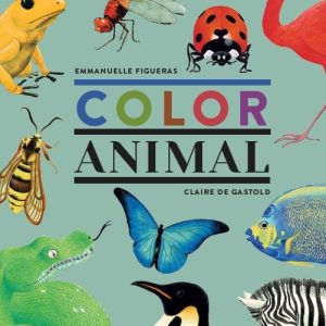 COLOR ANIMAL