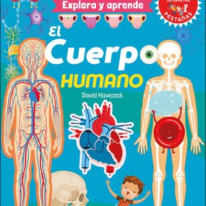 EL CUERPO HUMANO