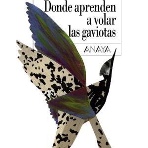 DONDE APRENDEN A VOLAR LAS GAVIOTAS EA