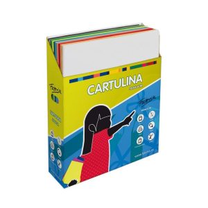 CAJA EXPOSITOR CARTULINA 50X65 500H SURTIDA ECO