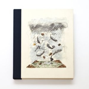 THE EUROPEAN DESKTOP