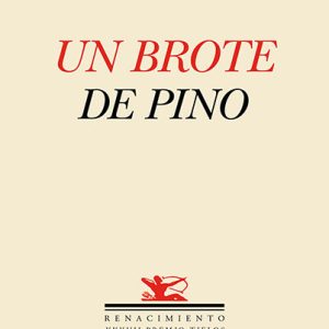 UN BROTE DE PINO