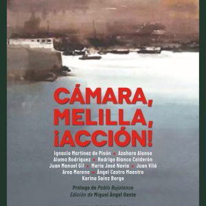 CAMARA MELILLA ACCION