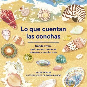 LO QUE CUENTAN LAS CONCHAS