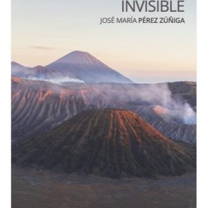 VIAJERO INVISIBLE,EL