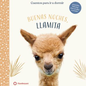BUENAS NOCHES LLAMITA