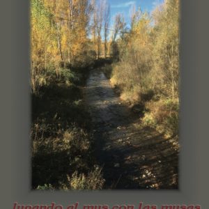 JUGANDO AL MUS CON LAS MUSAS