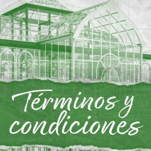 TERMINOS Y CONDICIONES