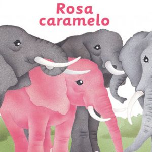 ROSA CARAMELO