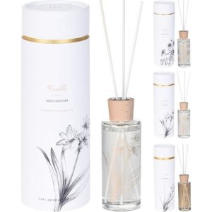 SET MIKADO FRAGANCIA 100ML AROMA SURTIDA
