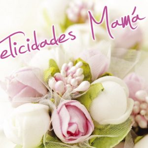 TARJETA MINI CARD FELICIDADES MAMA