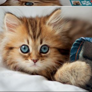 PUZZLE 200 PIEZAS GATITO