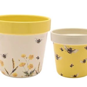 JUEGO DE 2 JARDINERAS COUNTRY LIVING - ABEJAS