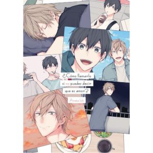 COMO LLAMARLO SI NO PUEDES DECIR QUE ES AMOR