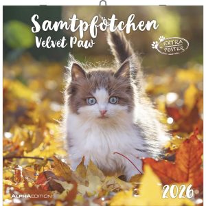 CALENDARIO ANUAL 2026 VELVET PAW 30X30