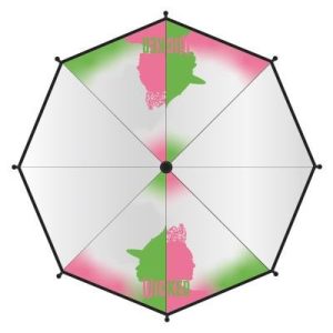 PARAGUAS MANUAL POE ADULTO WICKED