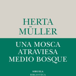UNA MOSCA ATRAVIESA MEDIO BOSQUE