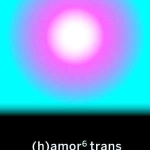 (H)AMOR 6 TRANS