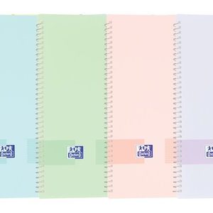 CARPETA ESPIRAL 30 FUNDAS LIVE&GO A4 GOMA PASTEL