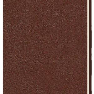 AGENDA ANUAL 2026 LIEBANA CARTERA AGUA SV