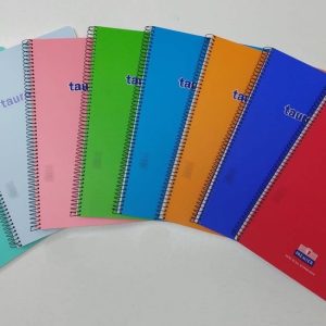 BLOC ESPIRAL FOLIO 80H PP PAUTA 3,5 90GR COLORES SURTIDOS