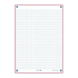 FICHA REVISION FLASHCARD 2,0 A5 CUADRO 5X5 ROSA 2T 30U