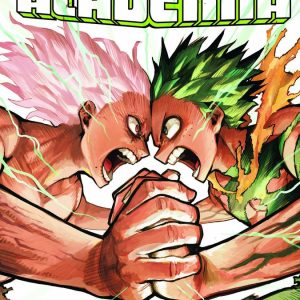 MY HERO ACADEMIA 41