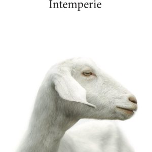 INTEMPERIE