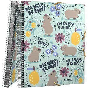 CARPETA MAXIPLAS PP 30 FUNDAS EC CHEERFUL 26